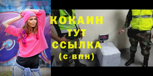 крисы Алексин