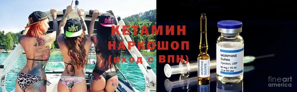 крисы Алексин