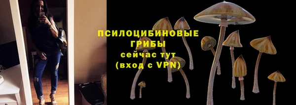 стафф Алзамай