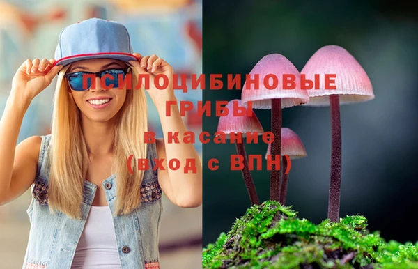 крисы Алексин